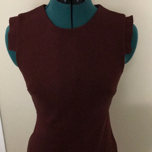 Talula Babaton Aritzia Rust Autumn Dress Size 0 Like New - Picture 4 of 10